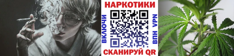 Где купить наркотики Сальск Псилоцибиновые грибы  Мефедрон  Каннабис  NBOMe  A-PVP  Кокаин 