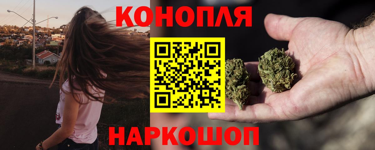 Бошки Шишки ГИДРОПОН Сальск